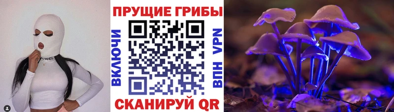 Галлюциногенные грибы прущие грибы Бирюсинск